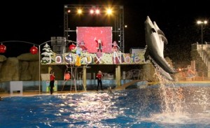 Noël à Marineland 2