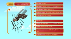 visuel slap mosquitoes2