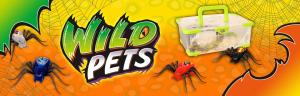 Araignées Wild pet