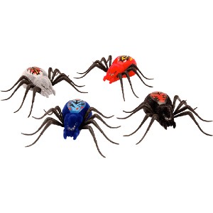 araignees_4_couleurs_visuel_secondaire_0