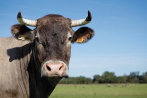 Portrait-de-Cerise_article_s