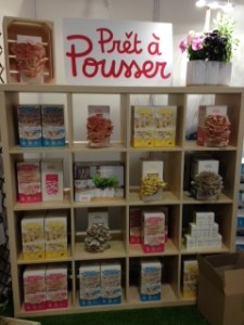 les kits Pret à pousser permettent de cultiver des champignons ou des herbes aromatisques dans sa cuisine. 