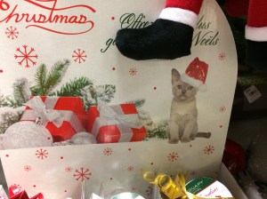 illustr-chats_-botanic